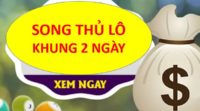 Bí kíp nuôi song thủ lô khung 2 ngày hiệu quả nhất